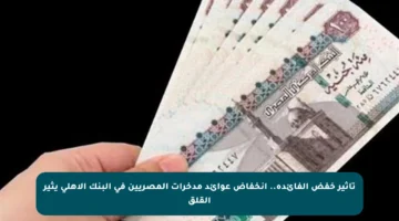 تأثير خفض الفائدة.. انخفاض عوائد مدخرات المصريين في البنك الأهلي يثير القلق
